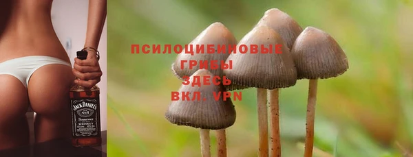 стафф Зерноград