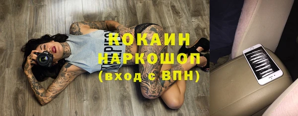 стафф Зерноград
